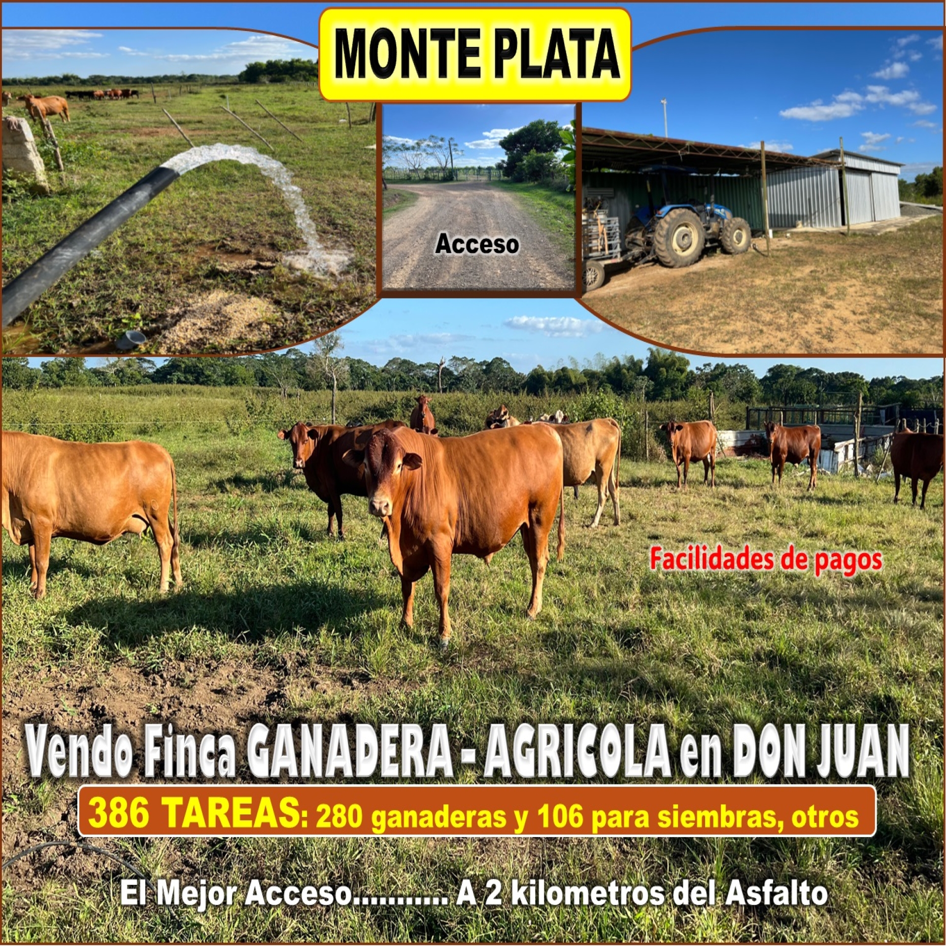 Propiedad