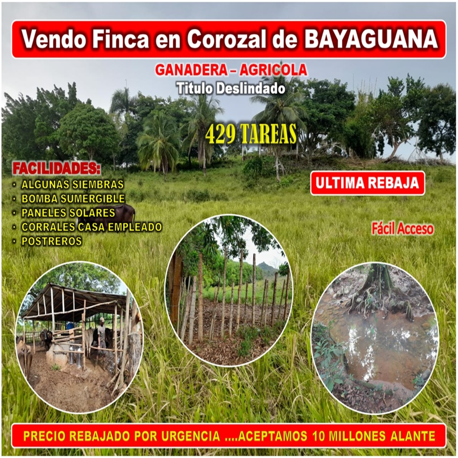 Propiedad