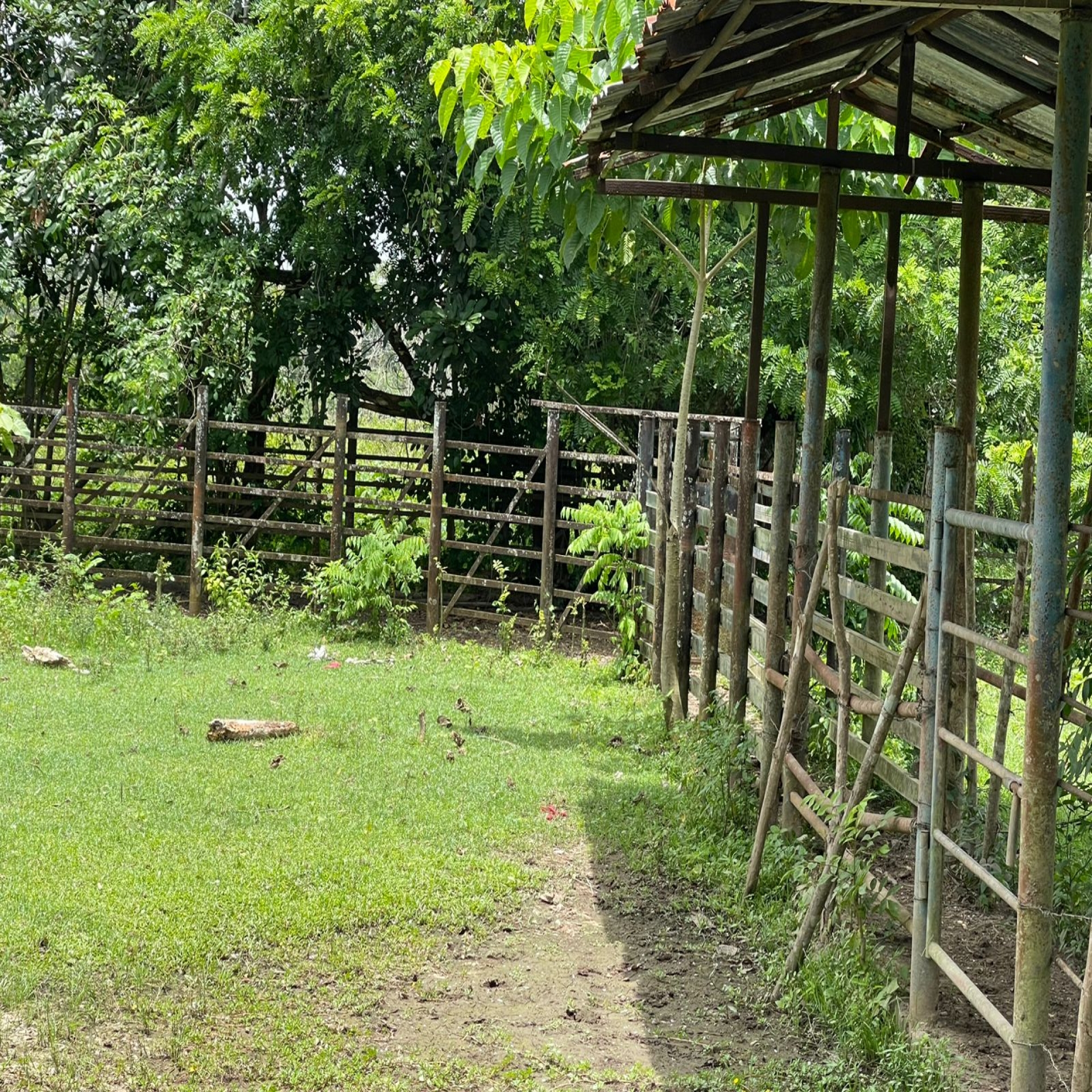 tiulo de la propiedad