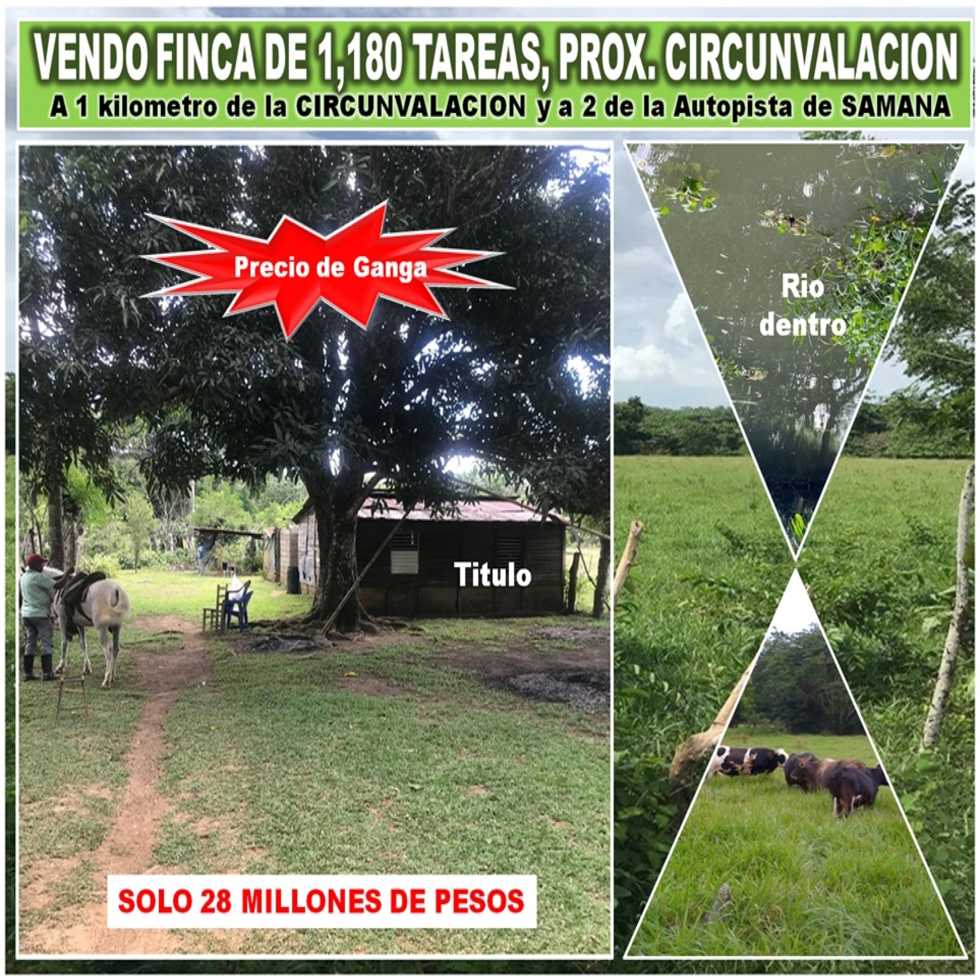 tiulo de la propiedad