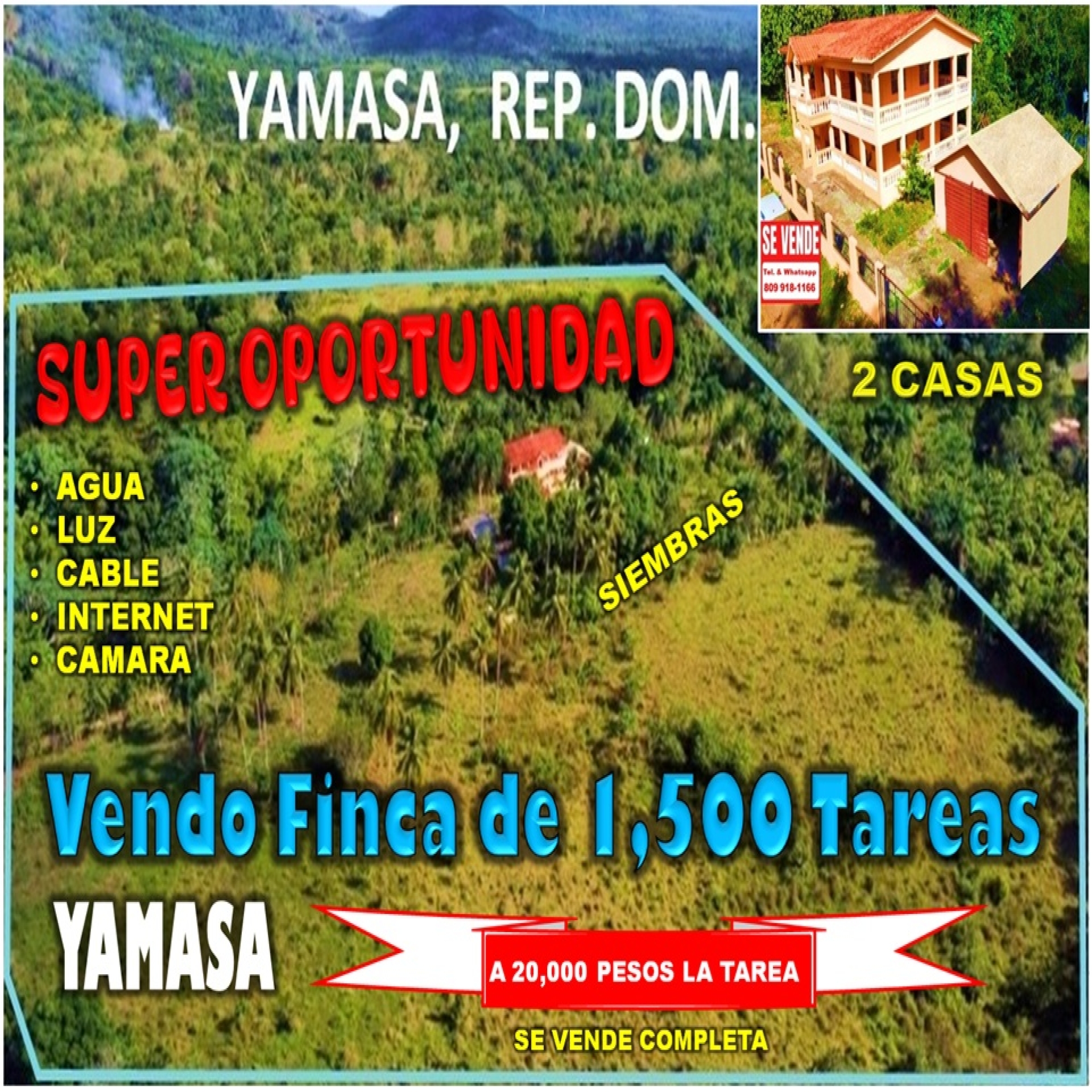 tiulo de la propiedad