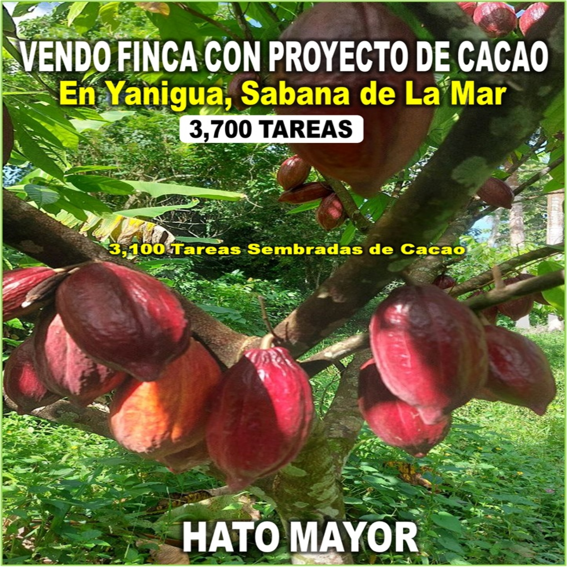 tiulo de la propiedad