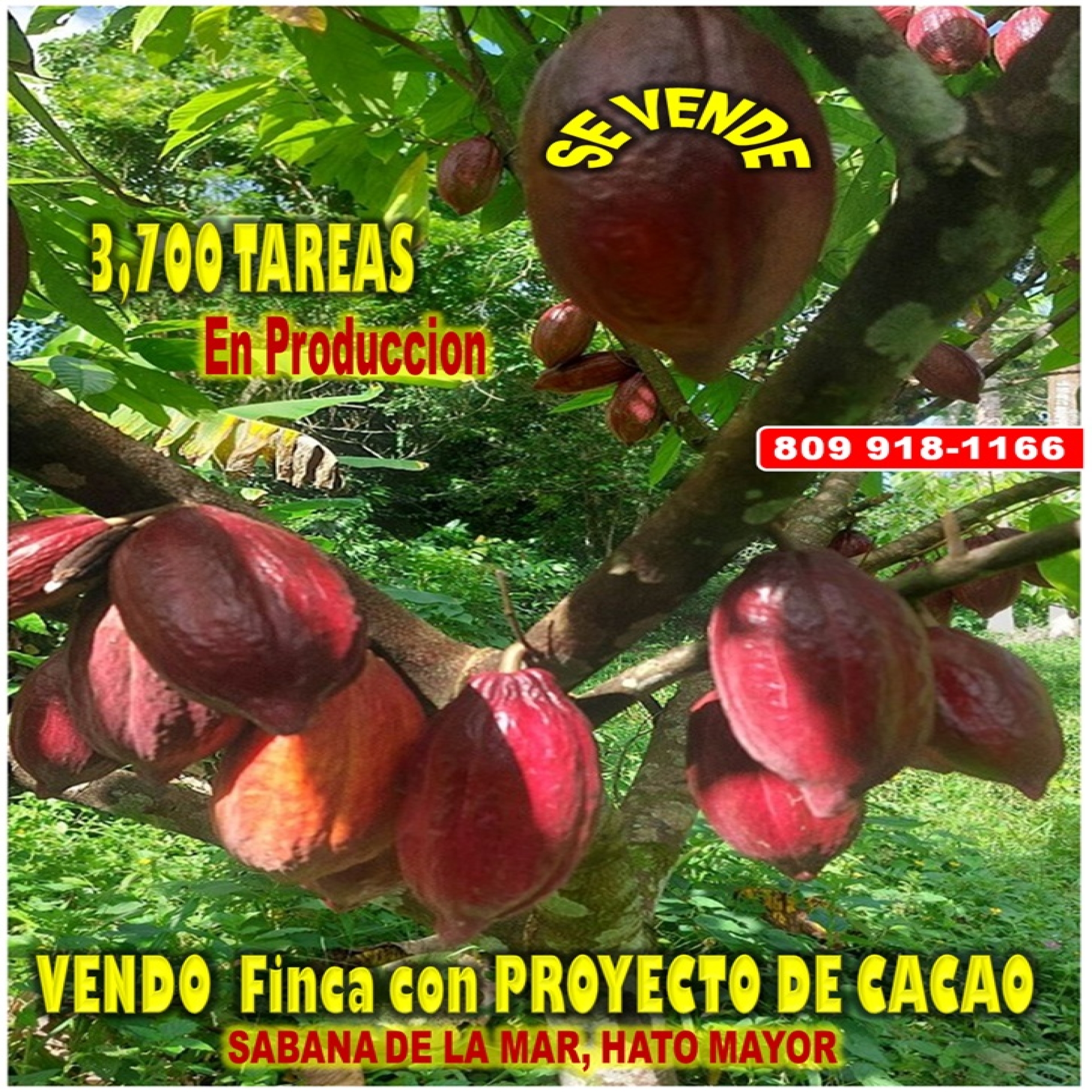tiulo de la propiedad