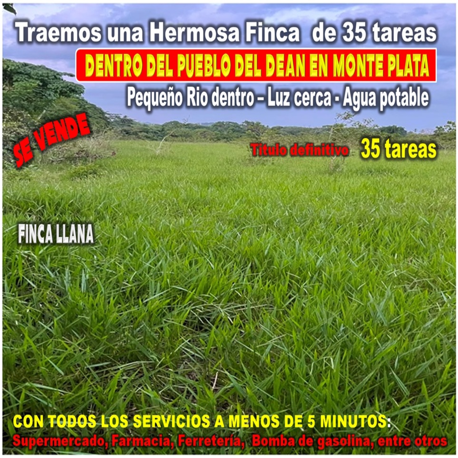 tiulo de la propiedad