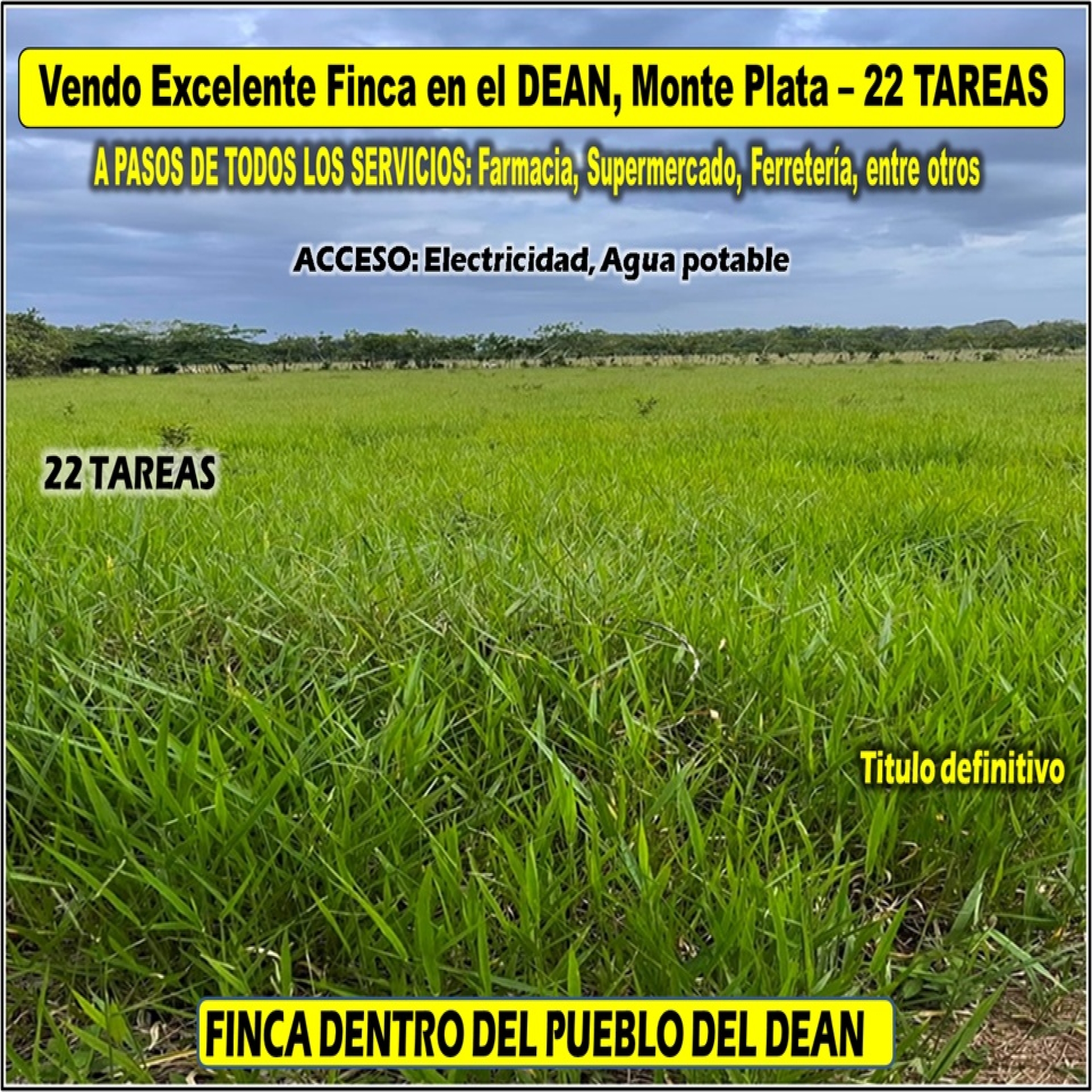 tiulo de la propiedad