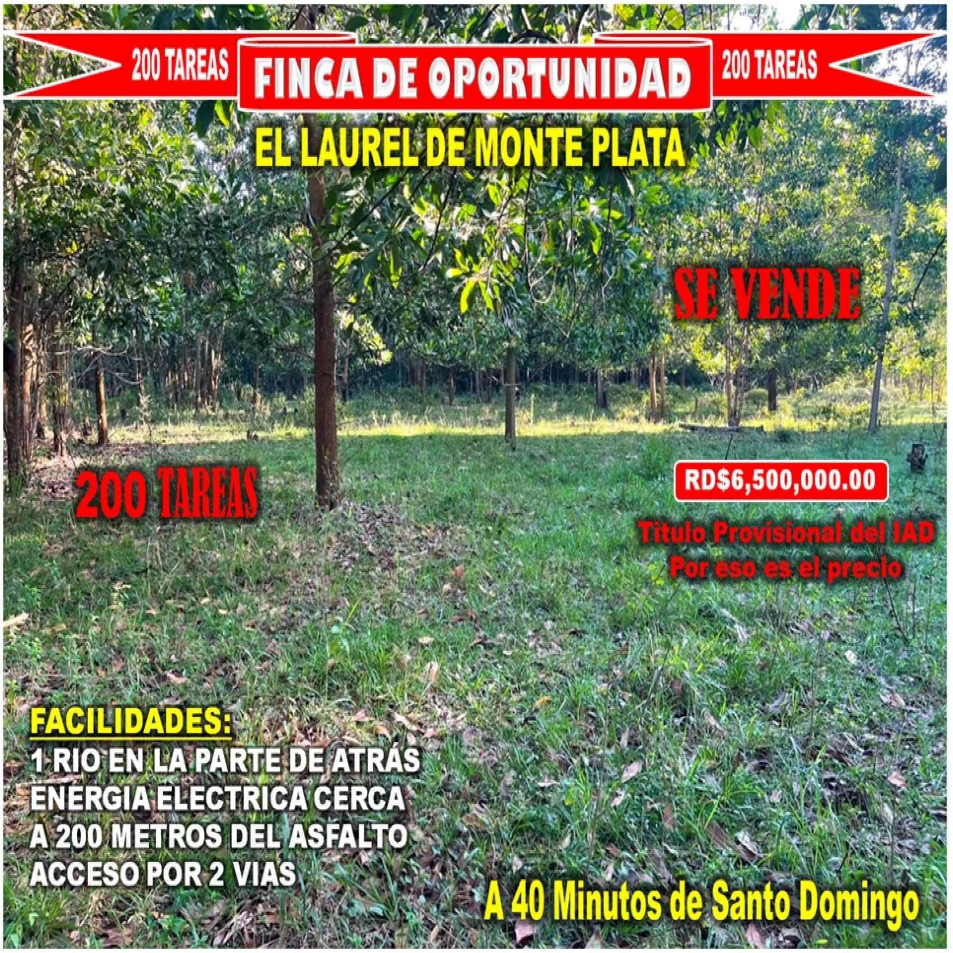 tiulo de la propiedad