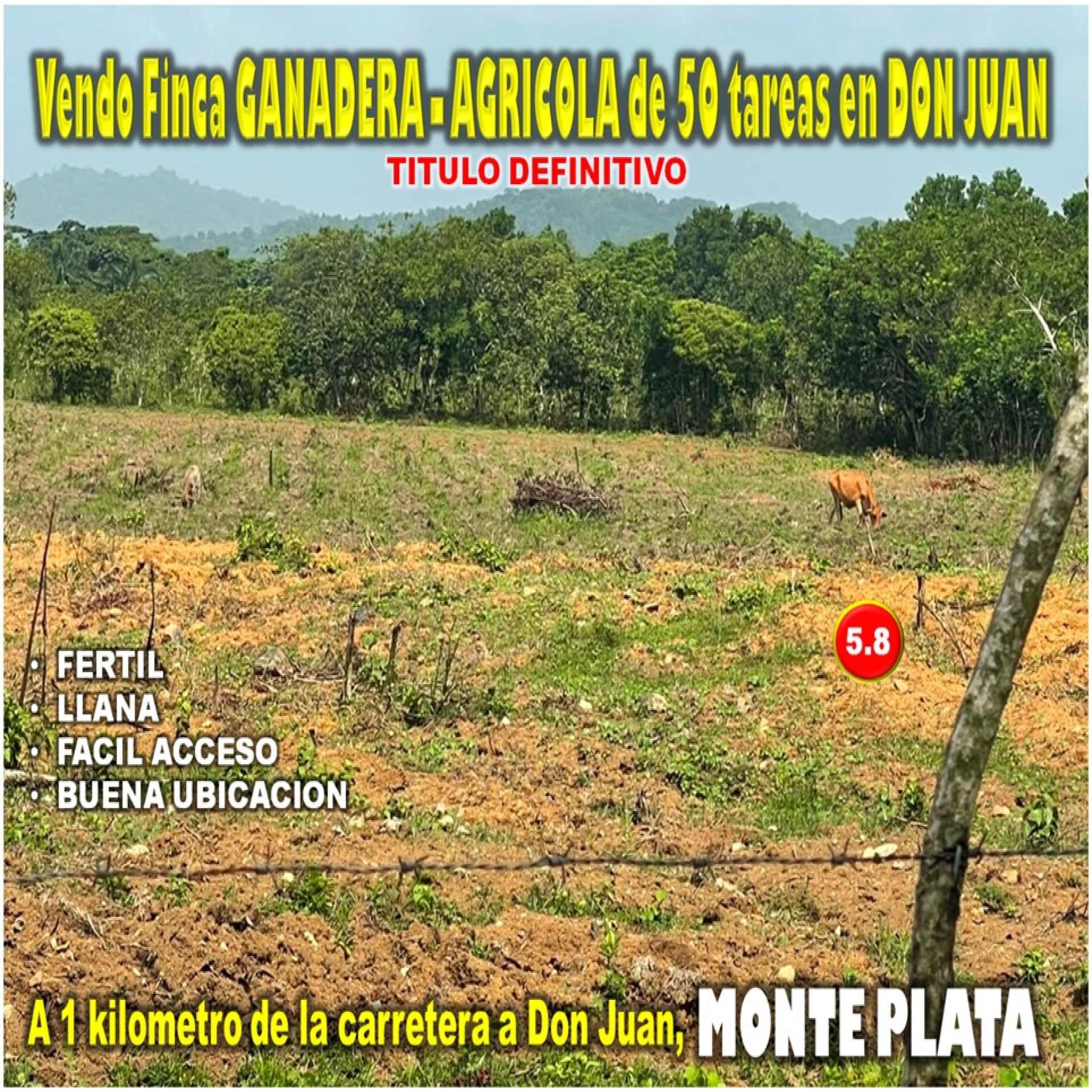 tiulo de la propiedad