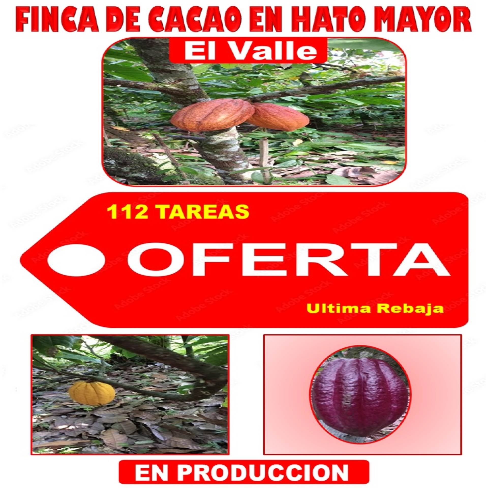 tiulo de la propiedad