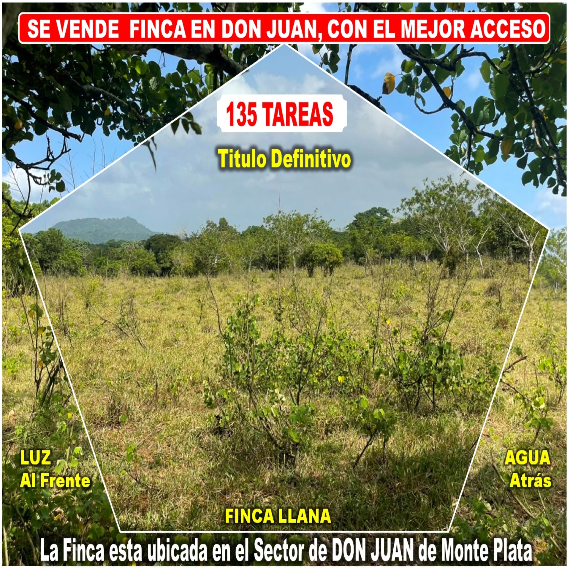 tiulo de la propiedad