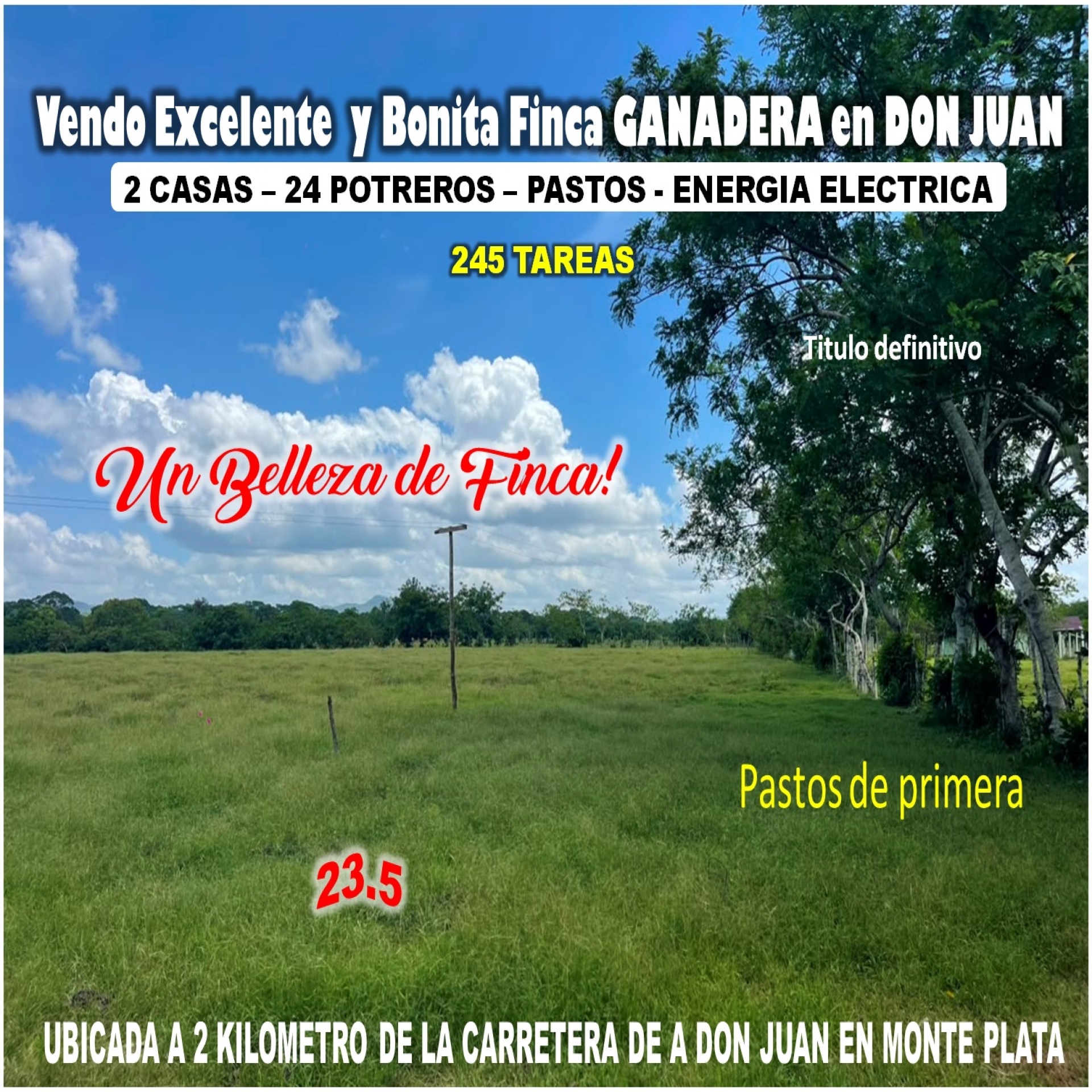 tiulo de la propiedad